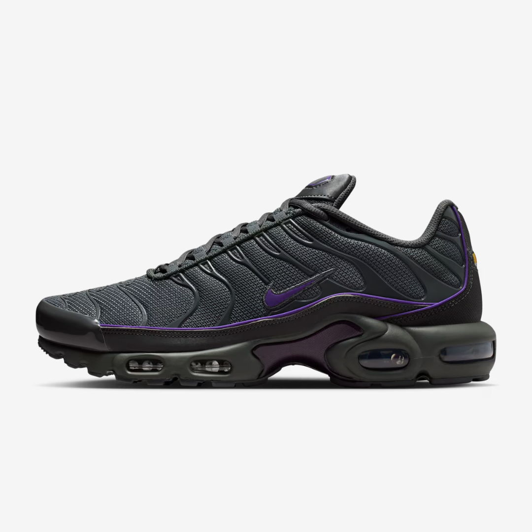 Nike Air Max Plus Tn 3m Purple Border