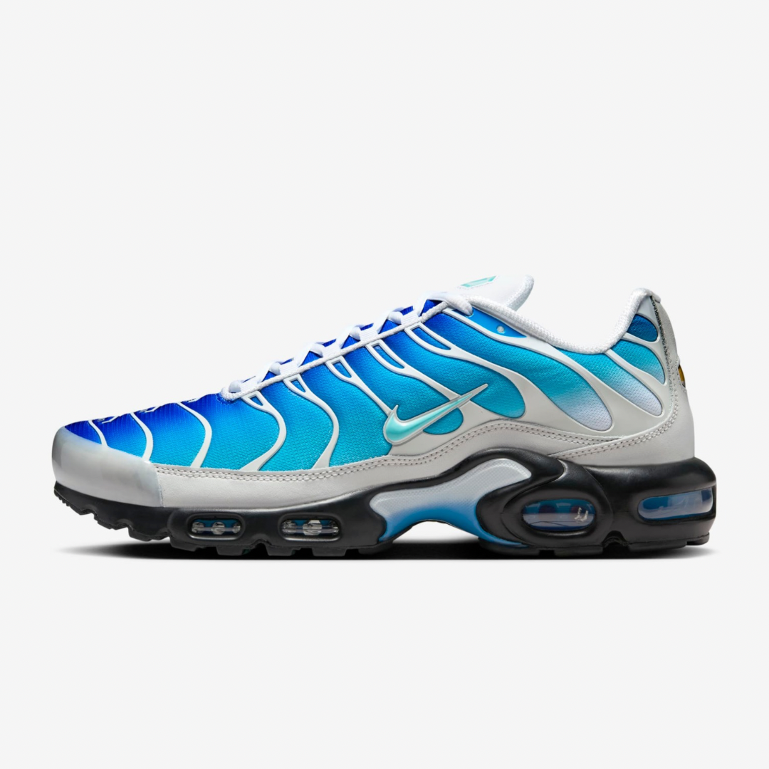 Nike Air Max Plus x One Block Down Photo Blue