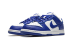 Nike Dunk Low SP Kentucky