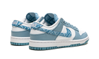 Nike Dunk Low Essential Paisley Pack Worn