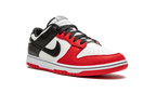 Nike Dunk Low NBA