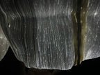 Jaqueta Palm Angels x Moncler Maya Lights Up The Future
