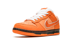 Nike SB Dunk Concepts Orange Lobster